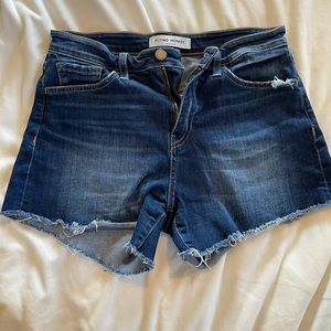 Flying Monkey Shorts 🐒